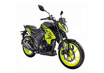 DY250 WOLF