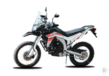 LX250GY-3G RALLY 250